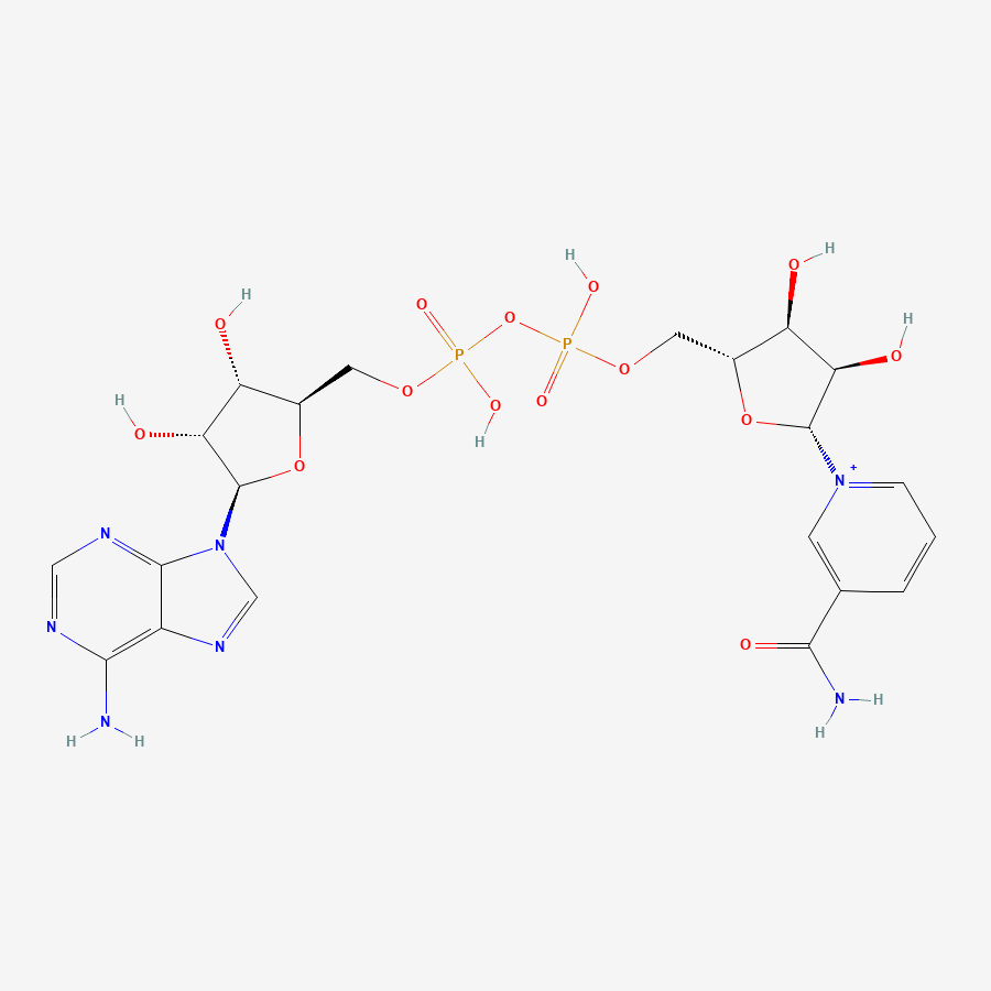 NAD+ Peptide Structure